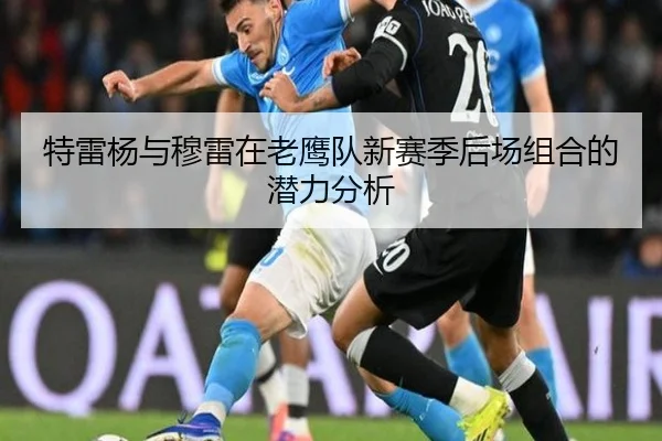 特雷杨与穆雷在老鹰队新赛季后场组合的潜力分析